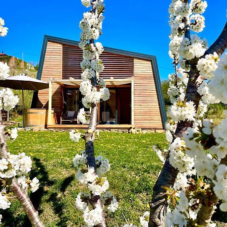 Villa Maxi Sonce, Odprte Vasi à Prvacina Extérieur photo