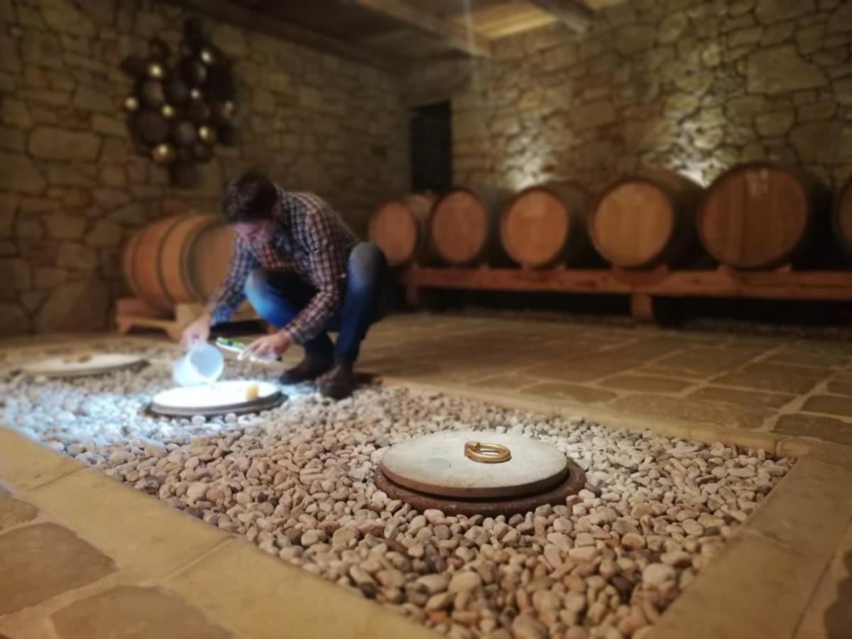 Villa Maxi Sonce, Odprte Vasi à Prvacina Extérieur photo