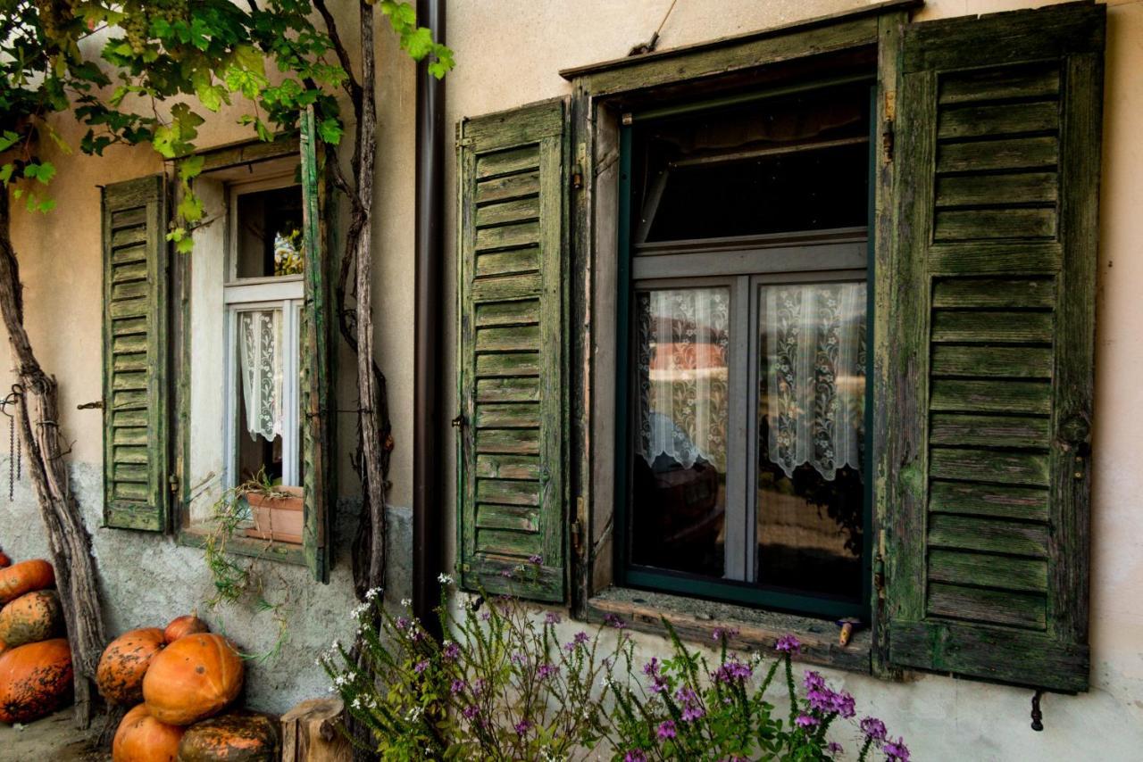 Villa Maxi Sonce, Odprte Vasi à Prvacina Extérieur photo