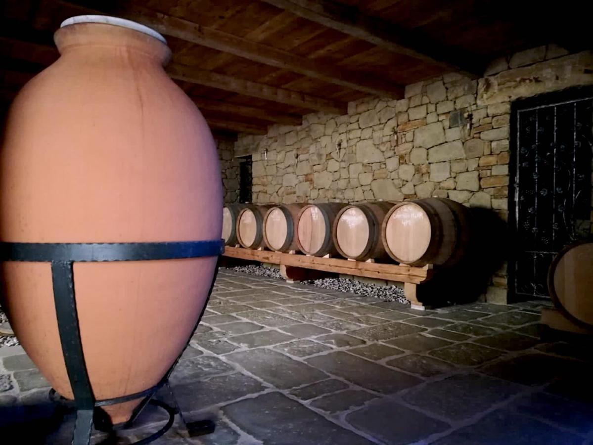 Villa Maxi Sonce, Odprte Vasi à Prvacina Extérieur photo