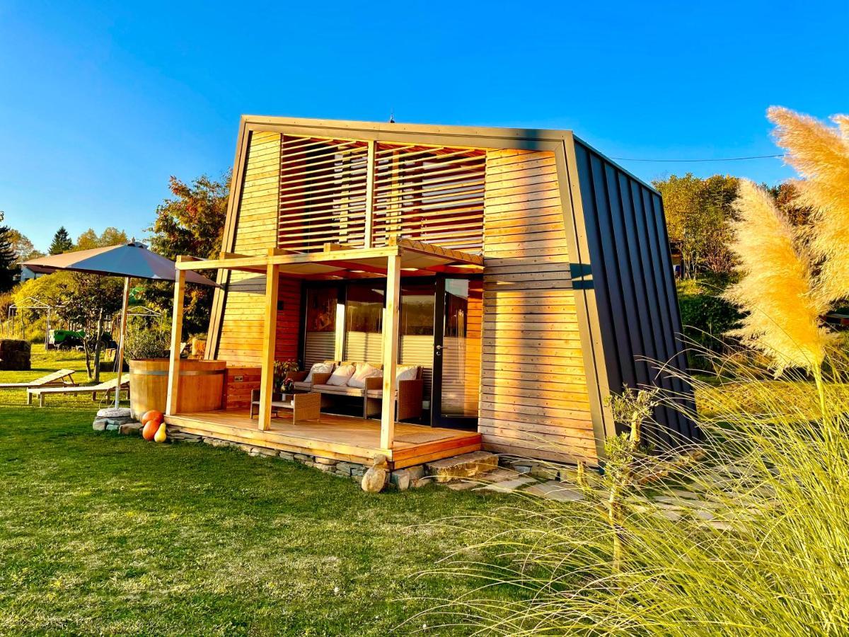 Villa Maxi Sonce, Odprte Vasi à Prvacina Extérieur photo