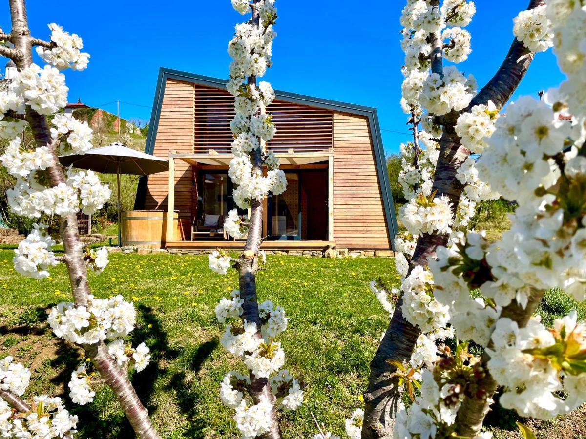 Villa Maxi Sonce, Odprte Vasi à Prvacina Extérieur photo